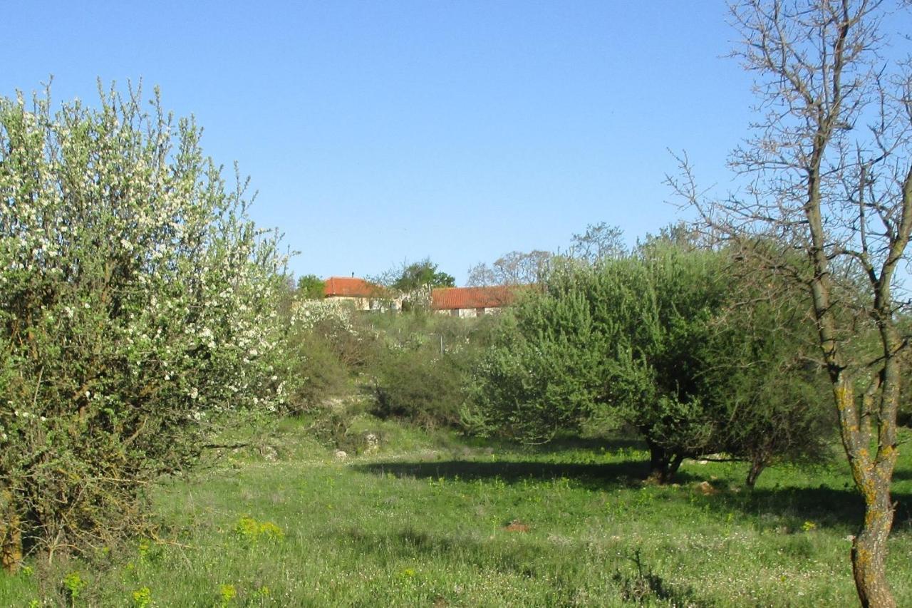 Villa Stone House in a quiet landscape, Leonidion Esterno foto